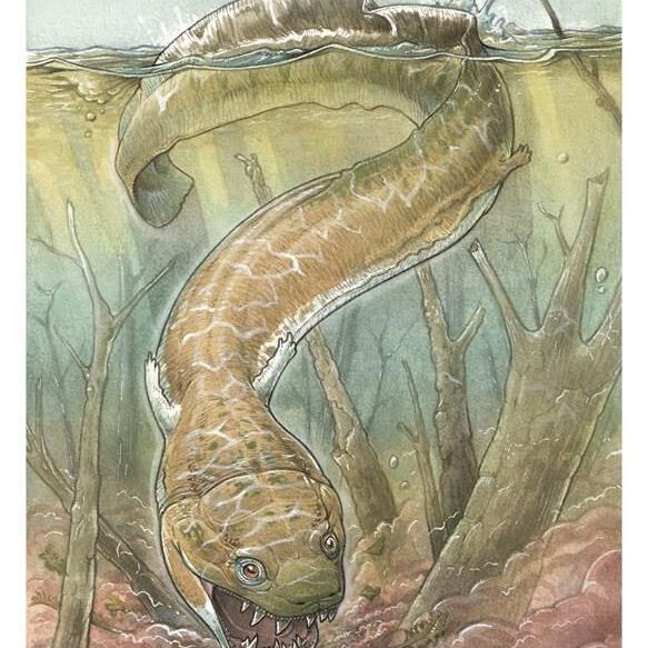 Fossils show huge salamanderlike predator with sharp fangs existed before the dinosaurs